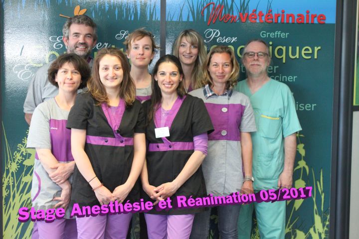 stage anesthesie reanimation